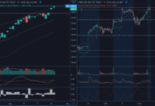 my watchlist stocks