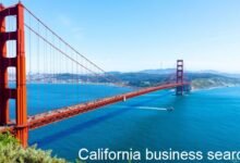 california business search