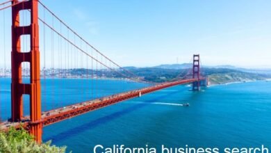 california business search